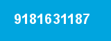 9181631187 9181631187