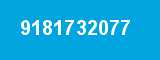 9181732077
