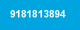 9181813894
