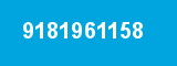 9181961158 9181961158