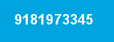 9181973345