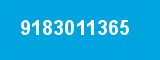 9183011365