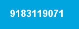 9183119071