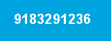 9183291236