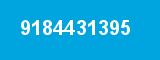 9184431395