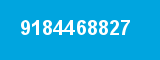 9184468827
