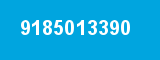 9185013390