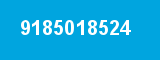 9185018524