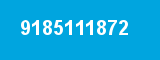 9185111872