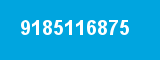 9185116875