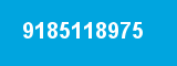 9185118975