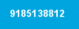 9185138812