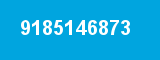 9185146873