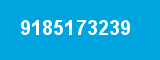 9185173239