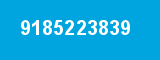 9185223839