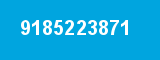 9185223871