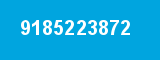 9185223872