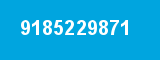 9185229871