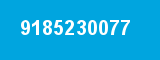 9185230077