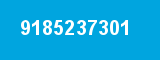 9185237301