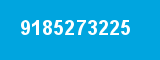 9185273225