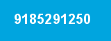 9185291250