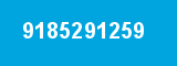 9185291259