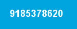 9185378620