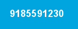 9185591230