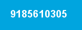 9185610305