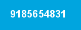 9185654831