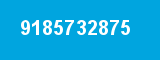 9185732875