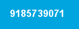 9185739071