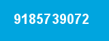 9185739072