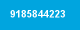 9185844223