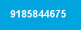 9185844675