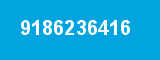 9186236416