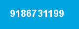 9186731199