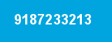 9187233213 9187233213