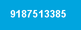 9187513385