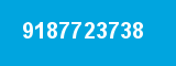 9187723738