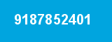 9187852401