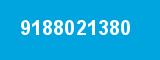9188021380