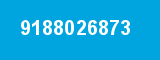 9188026873