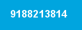 9188213814