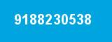 9188230538