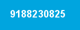 9188230825