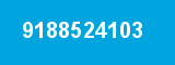 9188524103
