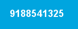 9188541325