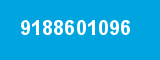9188601096